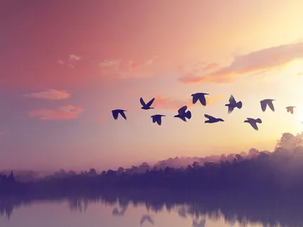 Poetry – The Alchemist's Dream