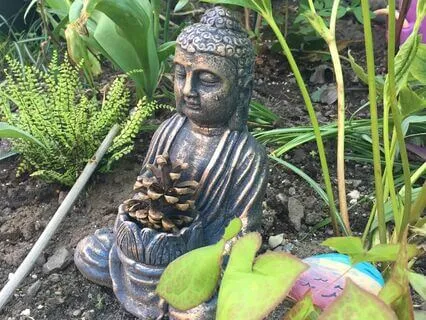 A Poem - Wild Flower Body