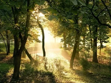 Poetry With Guided Relaxation