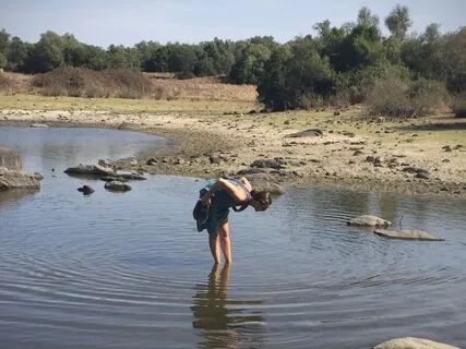 Poetry ~ Universal Connection