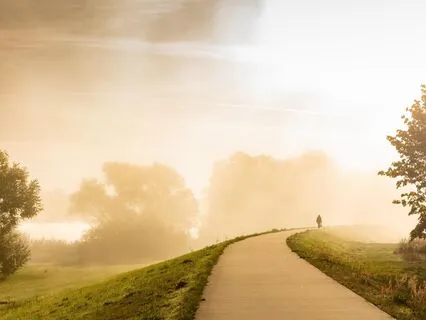 Point, Path, Field - Awareness