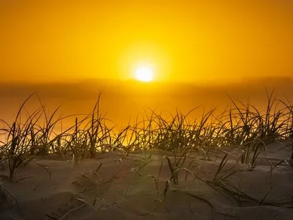 Points Of Stillness - Your Heart Is The Sun