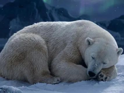 Polar Bear Spirit: Sleep Music | 8 Hours