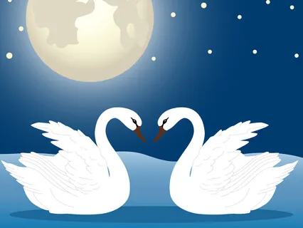 Полёт Птицы