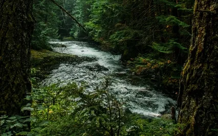 Полюбить Своё Тело