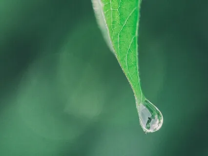 Полное Присутствие В Моменте