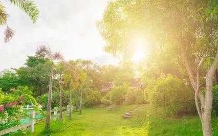 Good Morning Rampage Law Of Attraction (Pop Music)