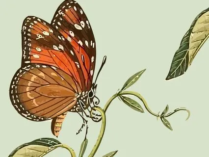 Butterfly Inspiration | Calming Sleep Story For Kids