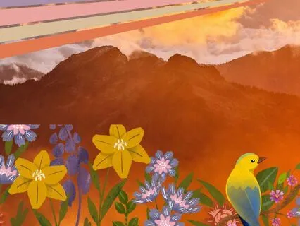 Poppy's Magical Children's Bedtime Story | Fly With The Hawk