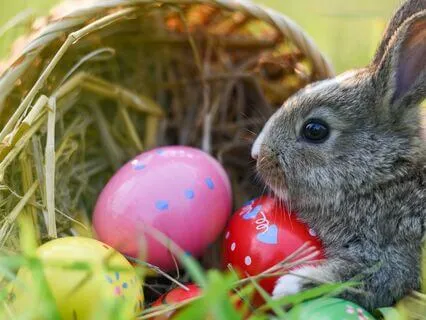 Poppy & The Magical Easter Chakra Gifts – A Story For Kids