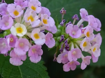 Poranna Medytacja Na Dobry Dzień