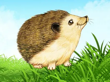 Porcupine Poke-Twist Dance Concept For Kids