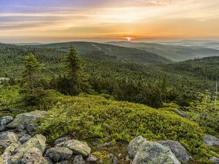 Portal Of Being-Mystical Sounds