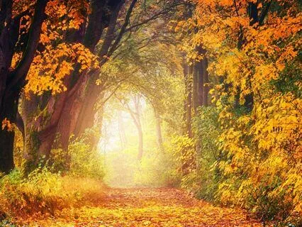 Portal Of Transformation