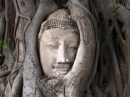 Portal To Manifestation