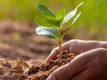 Positive Affirmations 2