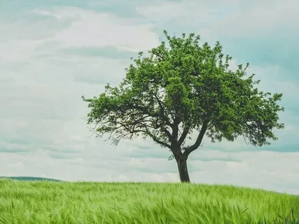 Positive Affirmations