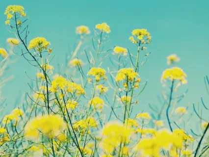 Positive Affirmations For Anxiety