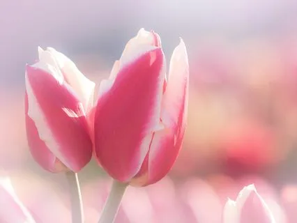 Positive Affirmations For Anxiety