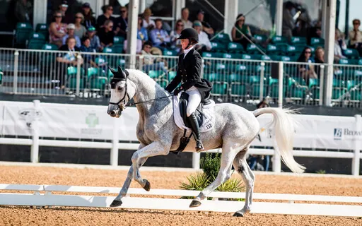 Positive Affirmations For Dressage