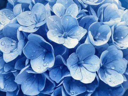 Positive Affirmations For Gratitude And Abundance