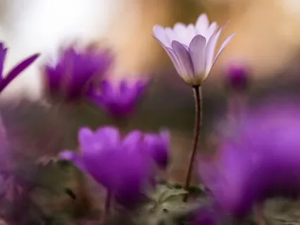 Positive Affirmations For Health