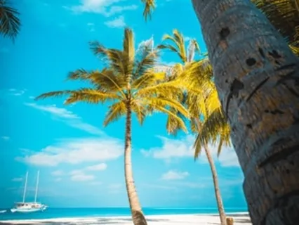 Positive Affirmations For Living Your Best Life