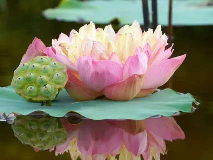 Positive Affirmations For Prosperity