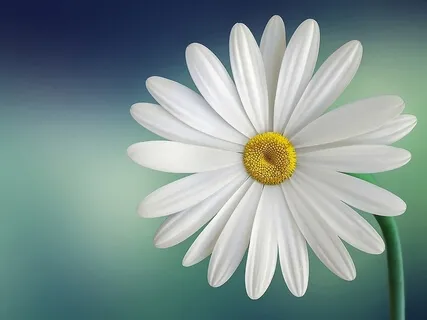 Positive Affirmations For Recovery