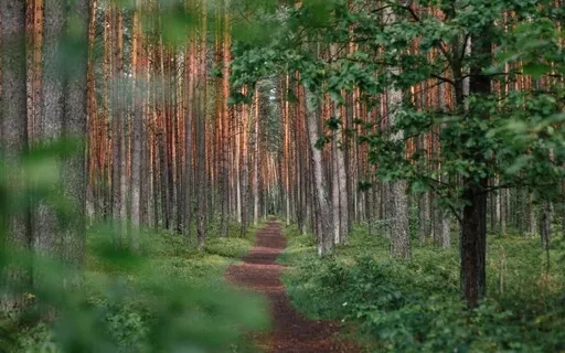 Positive Affirmations For The Sobriety Journey 