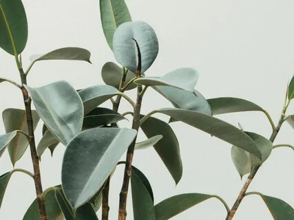 Positive Affirmations Meditation For Joy And Self-Love