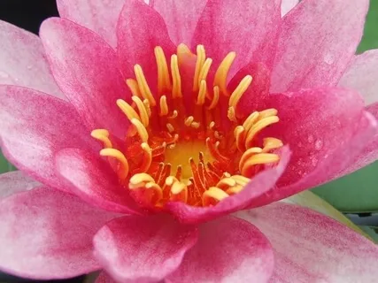 Lovely Positive Affirmations