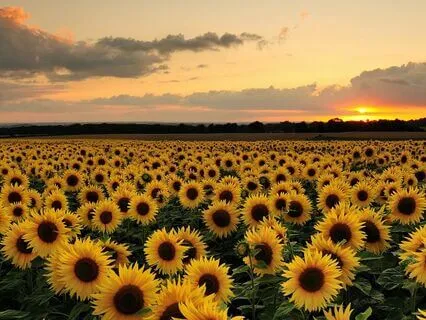 Positive Affirmations Meditation