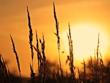 Positive Affirmations Morning Meditation