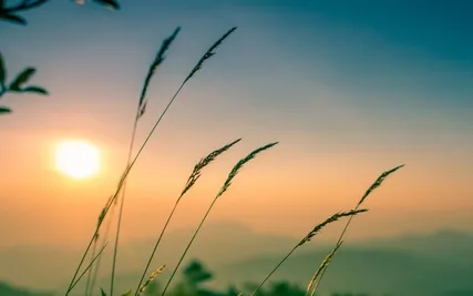 Positive Affirmations Of Gratitude And Abundance