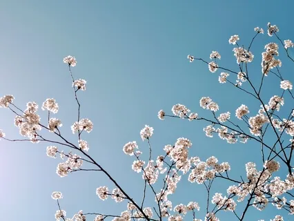 Positive Affirmations For Strength & Resilience