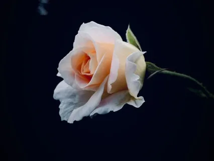 Positive Affirmations To Sleep & Wake Up Happy