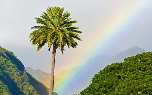 Positive Affirmations To Start The Day