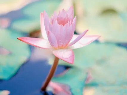 Positive Affirmations - Trusting Your Inner Wisdom