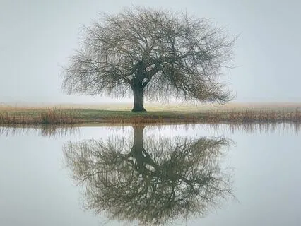 Positive Body Image Daily Practice