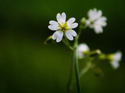 Positive Daily Affirmations Practice