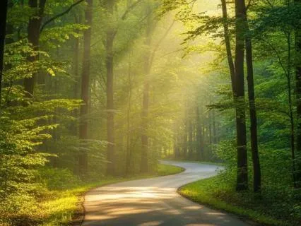 Positive Affirmations For Focus And Abundance While Driving