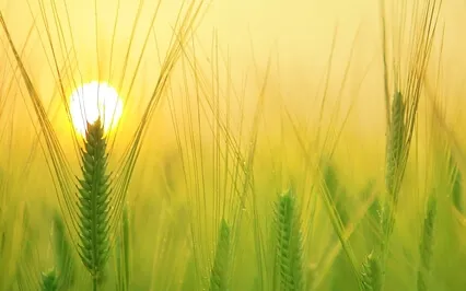 Positive Energy Boost