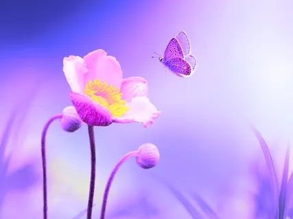 528Hz Positive Energy Cleanse And Deep Healing Miracle Tone