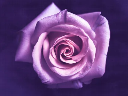 Positive Energy Healing | 528Hz | Self-Healing Frequency