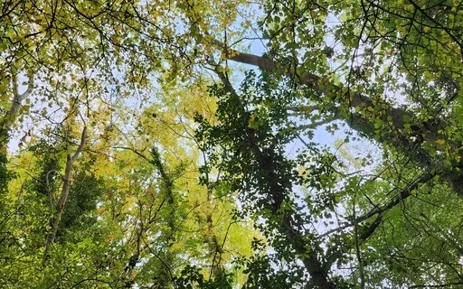 Positive Energy Meditation