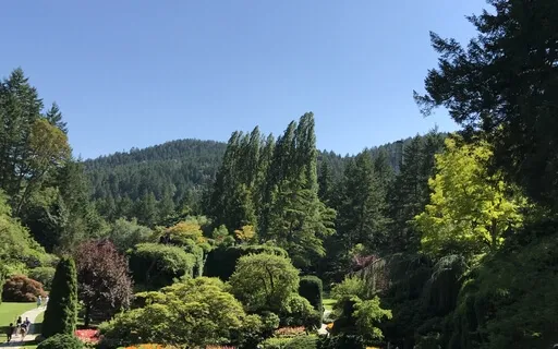 Positive Energy Meditation