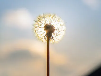 Positive Energy, Relaxation, Deep Sleep Stress Release