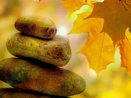 Positive Habit Acquisition - Reality Check Podcast #177