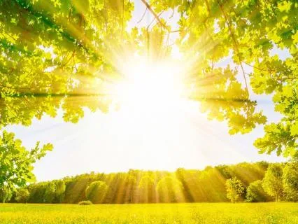 Positive I Am Affirmations | Calming Nature Sounds